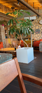 ダブルバーガー【コナズカフェ店内】A.PNG