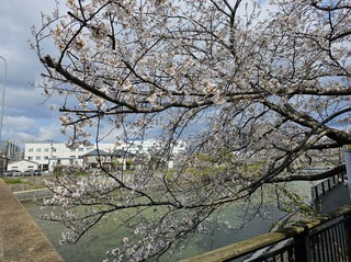 那珂川河川敷A.jpg